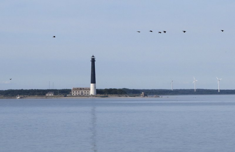 Majakkaphalaimg 5380