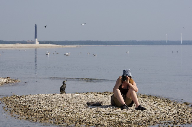 Minnajaphala A1G0129