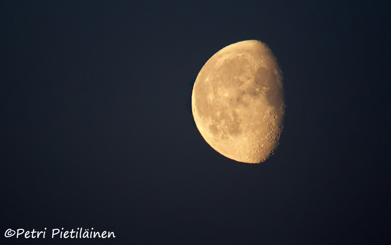 Moon2403115233Ee