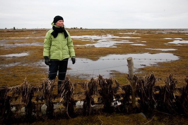 Rahusreminna Mg 0243