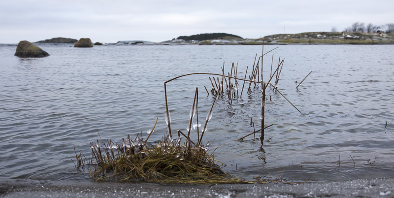 Risumaisema- Mg 9219