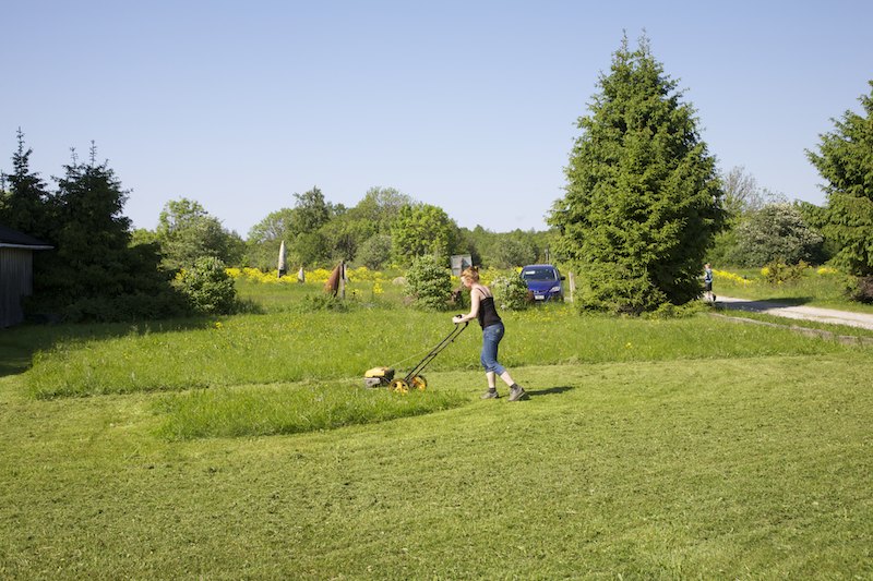 Ruohonleikkaus Mg 3001