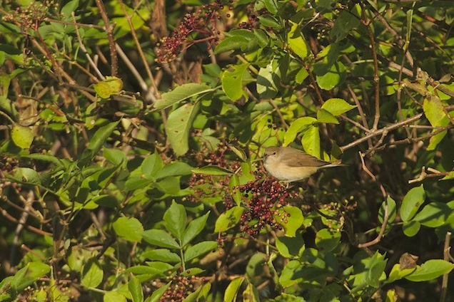 Screenshot.06-09-2014 22.03.23