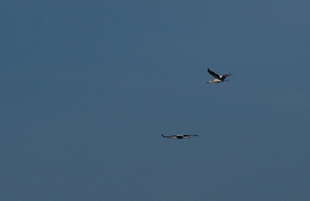 Screenshot.06-09-2014 23.01.05