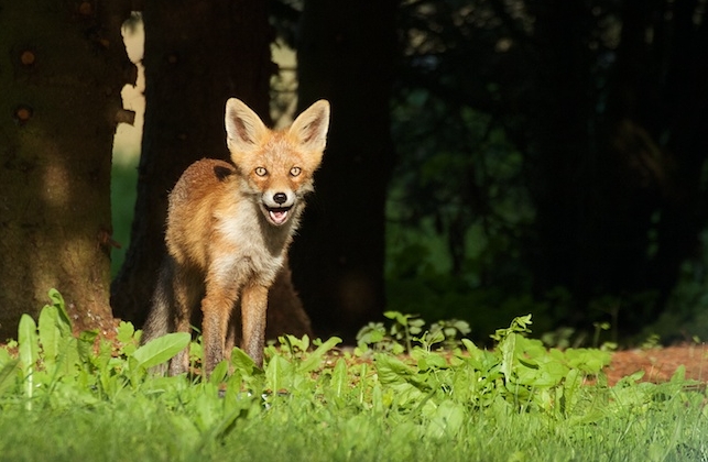 Screenshot.06-09-2014 23.09.20