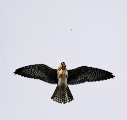 Screenshot.10-09-2014 20.29.01