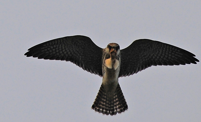 Screenshot.10-09-2014 20.29.30