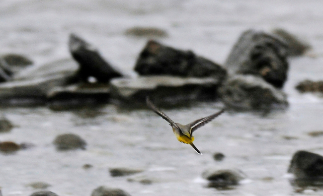 Screenshot.16-10-2014 18.48.22