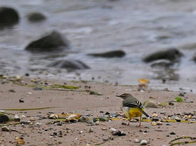 Screenshot.16-10-2014 18.48.37