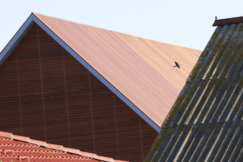 Uuttajavanhaa A7F7955