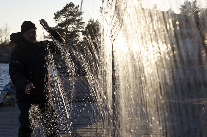 Verkonselvitys Mg 2875