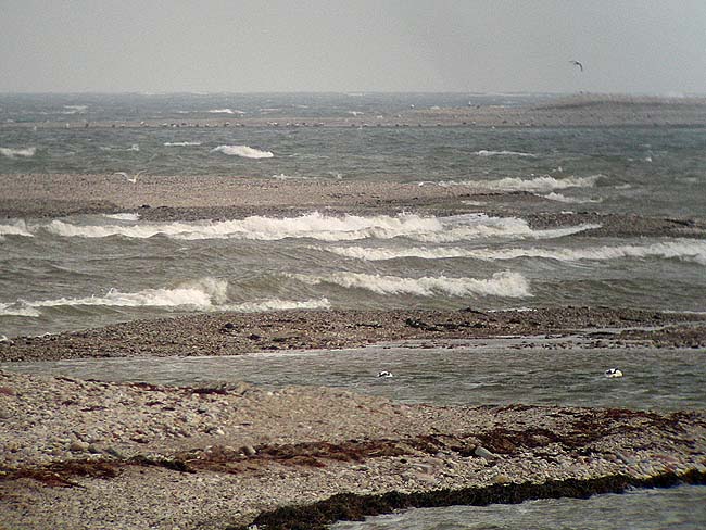 Vesitukimaa 18042006